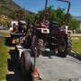 europards-loaded-hillbilly.jpg