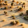 model-desert-map-wide.jpg